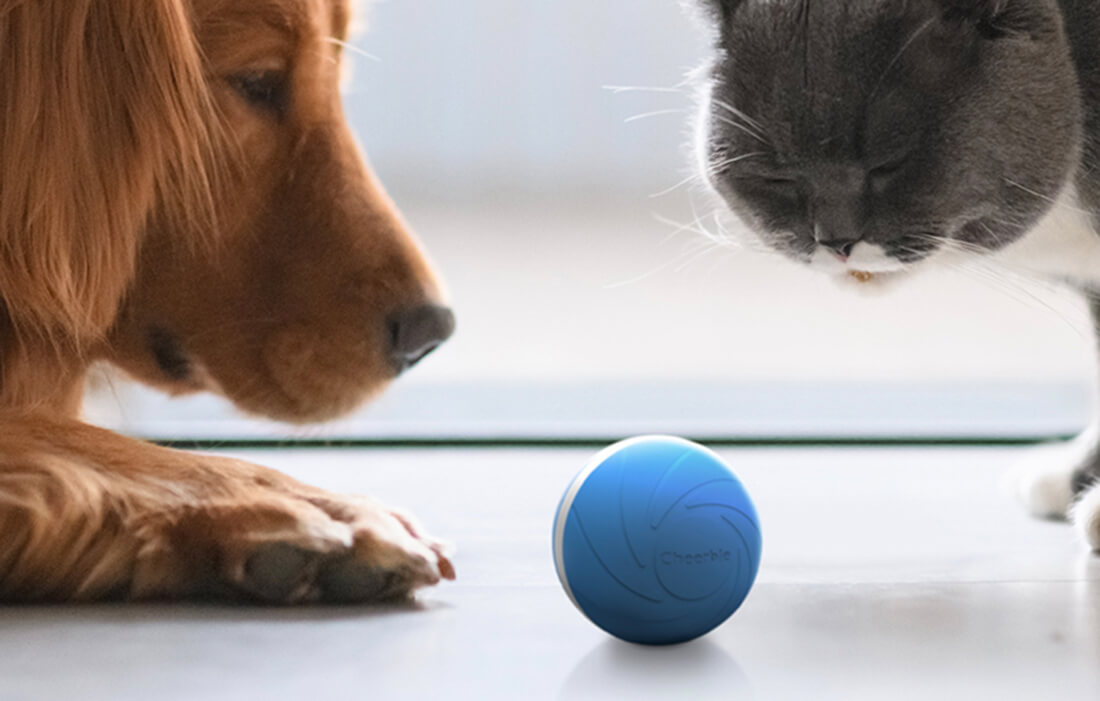 Interaktywna piłka dla psów oraz kotów Cheerble W1 (niebieska)