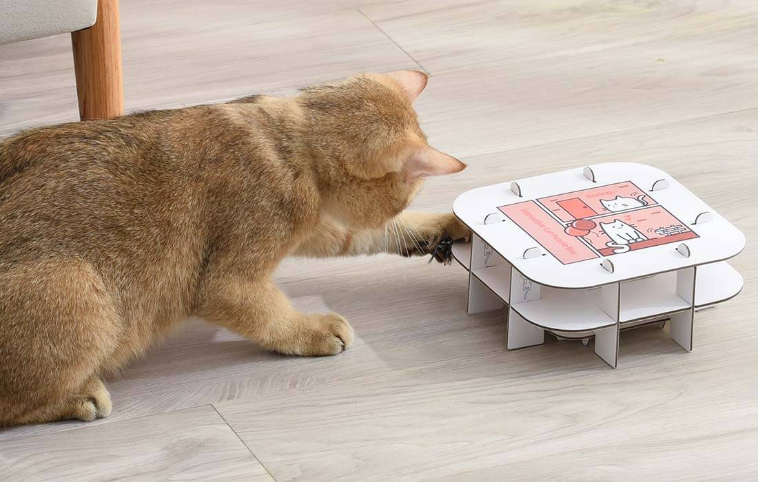 Interaktywna zabawka dla kotów Petwant T3-A